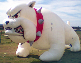 Cold Air Inflatable Bull Dog